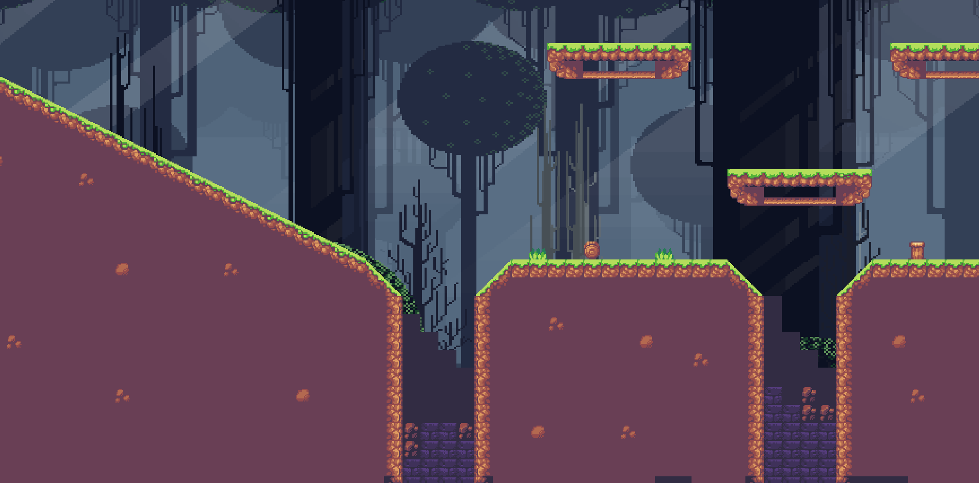 biome 4