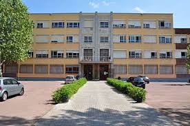 institut puig castellar